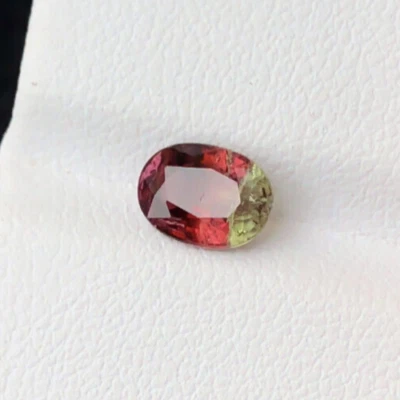 1.20 Carats Nice Quality Natural Bi-Color Tourmaline Cut Stone  - Image 1 of 4