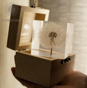 Preserved Dandelion Crystal Cube Display Home Desktop Office Ornament Gift - Bild 1 von 16