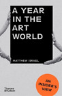 Matthew Israel A Year in the Art World (Paperback)