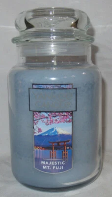 Yankee Candle Tarro Grande Vela 100-150 horas 22 oz MAJESTIC MT. FUJI Foto 1 de 3