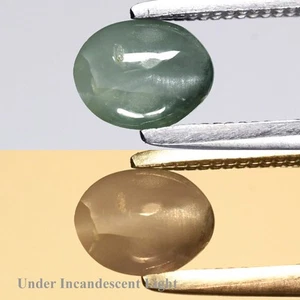 π 0.58ct Oval Cabochon Natural Green Cat's Eye Alexandrite - Sri-Lanka Gem - Picture 1 of 6