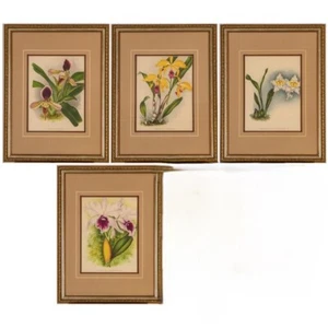 Gruppe von vier blumenfarbenen Chrom-Lithographien - Bild 1 von 5