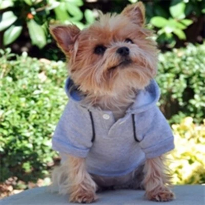 Sudadera con Capucha Deportiva Diseño Perro Perro - Gris Gracier ~ 4 Tallas ~ ¡Nueva! Foto 1 de 3