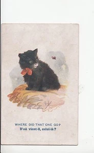 B80546 where did that one go chaising a butterfly paint cat front/back image - Picture 1 of 2