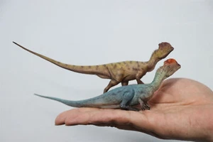 HAOLONGGOOD 1:35 Scale Dilophosaurus Pair Model Aimal Dinosaur Collection Decor - Imagen 1 de 30