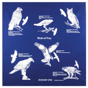 Printed Image Birds of Prey Bandanna 22" x 22" Navy Blue Owl Hawk Eagle Falcon - Picture 1 of 1