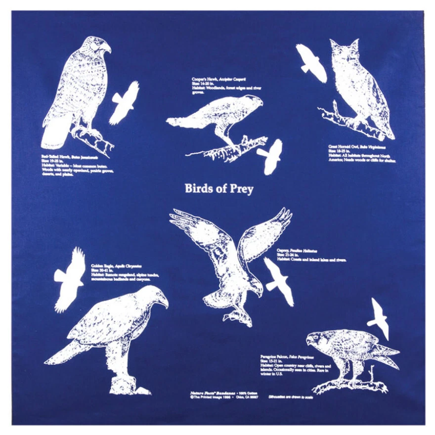 Imagen Impresa Pájaros de Presa Bandana 22" x 22" Azul Marino Búho Halcón Águila Halcón Foto 1 de 1
