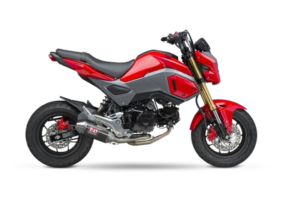 Exhaust Race Rs 2 Full Sys Ss Cf Ss Works - Image 1 of 2