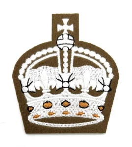 Badge Kings CIIIR Crown Future Army Dress Warrant Officers Class 2 Crown FAD WO2 - Picture 1 of 4