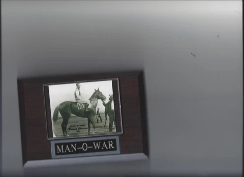 MAN-O-WAR PLAQUE HORSE RACING TURF Cover