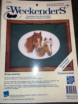 Kit de punto de cruz de fin de semana compañeros de establo diseño de caballos 7”x 5” camaradería Aida Foto 1 de 4