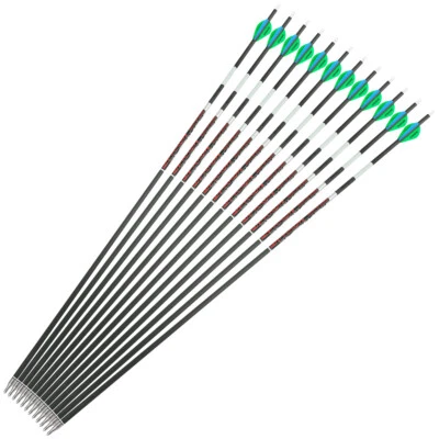 31" Archery Carbon Arrows SP300-600 Rubber Vanes Grow Dark Compound Recurve Bow - Image 1 of 4