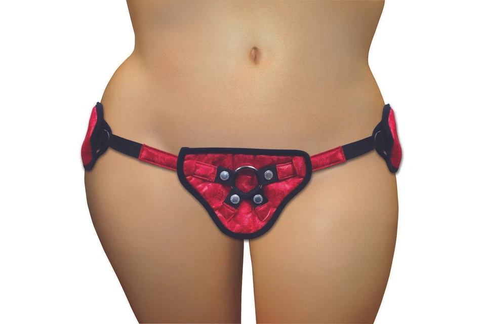 Corsé de encaje de talla grande con correa ajustable talla 12 a 30 Foto 1 de 1