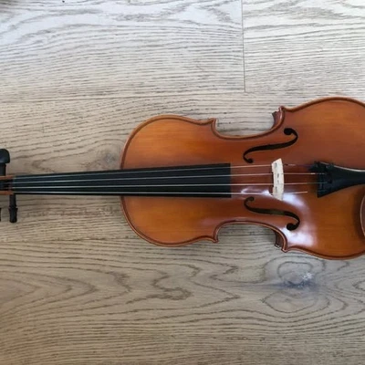 Violín Sam Eastman 4/4 | Tamaño completo | Excelente estado | Estuche rígido, arco y más Foto 1 de 4