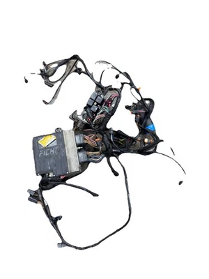 Evinrude Johnson FICHT 75-250 HP ECU ECM EMM harness 586724 - Image 1 of 4