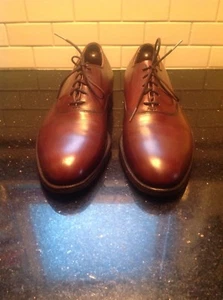 CLASSIC E.T. WRIGHT OXBLOOD LEATHER LACE UP OXFORDS ARCH PRESERVER SZ 11 C - Picture 1 of 8