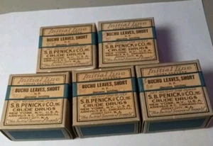 NOS 5 Full Boxes - Buchu Leaves Short Penick & Co Barosma Betulina - Picture 1 of 3