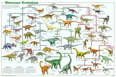 FEENIXX Laminated Dinosaur Evolution Poster 24x36