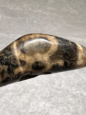 Tibetan Kubera Wealth God Old Agate Ox Horn Dzi Bead, Talisman Claw Marks🔥 - Image 1 of 4