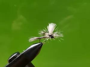1 docena - mosquito paracaídas - mosca seca - trucha - Imagen 1 de 1