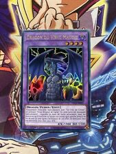 Yu-Gi-Oh! Dragon du Virus Maudit DLCS-FR055 1st / Ultra Rare