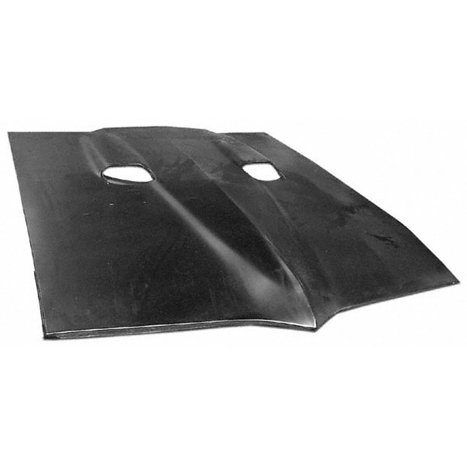 Hood Panel fits 1967-1969 Pontiac Firebird 4320-200-69 Foto 1 de 1