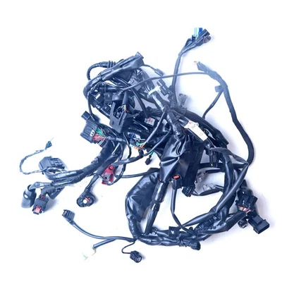 Arnés de cableado principal Honda CB1000R 2023 - 32100MKJE50 Foto 1 de 4