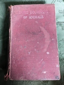 Home Doctoring of Animals  Harold Leeney First Edition  1906 Horse, Cattle, Dog - Picture 1 of 24