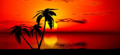 Golf Cart Tropical Palm Tree FULL Wrap Charphics Set FIT EZGO Club Car Yamah - Image 1 of 4