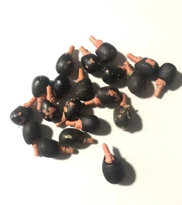 BRITAINS Eyes Right Guards Spare Heads x 20 - Picture 1 of 1