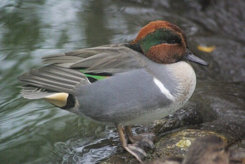 Bild 1 von 3