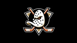 2 -4 Tickets 2025-2026 ANAHEIM DUCKS HOCKEY-All Home Games Available - Picture 1 of 1