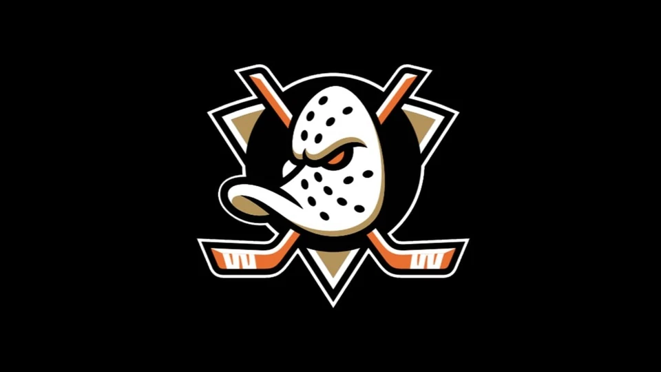 2 -4 Tickets 2025-2026 ANAHEIM DUCKS HOCKEY-All Home Games Available - Image 1 of 1