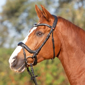 Kieffer Ergonomic Ultrasoft Amy Padded Snaffle Crank Flash Bridle Black Cob/Full - Picture 1 of 10