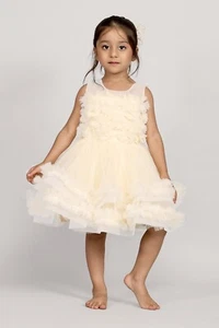 NEW Toddler Girls Light Beige Ruffle Party Dress w/Tulle Skirt and Mesh Overlay - Picture 1 of 5