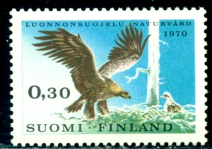 1970 The golden eagle,Birds,European Conservation Year,Finland,Mi.667 ,MNH - Picture 1 of 1