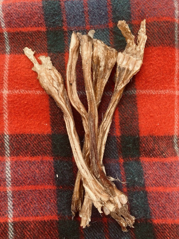 Scottish Highlands Organic Venison Sinew