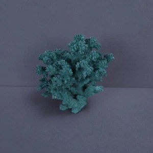 Green Tentacles Coral Sculpture Nautical Ocean Reef Real Large 6.5"H x 6"W - Picture 1 of 7