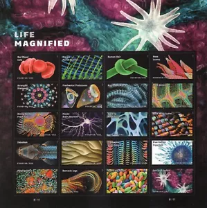 US 2023 COMPLETE NH GENUINE!! COMMEMS+DEFINS YEAR SET 136 Stamps Free USA Ship - Picture 1 of 6