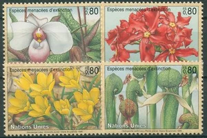 ONU Ginebra 1996 Plantas en peligro azafrán lirio 288/91 nuevo - Imagen 1 de 1