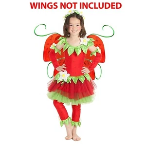 Princess Paradise Strawberry Fairy Halloween Costume Toddler 18M-2T Queen Pixie - Picture 1 of 3