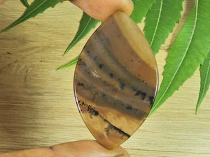 31X52MM Natural Honey Dendrite Marquise Shape Cabochon Loose Gemstone 37Cts K648 - Picture 1 of 9