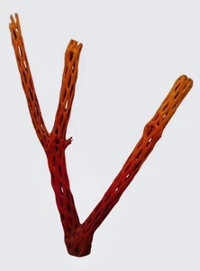 Vivid Cholla 18" X 13" • | • Tequila Sunrise • | • Decor • | •  Woodwork - Picture 1 of 1
