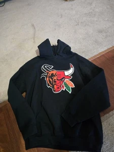 Sweat à capuche équipes sportives Chicago grands taureaux/ours/faucons/sox - Photo 1/1