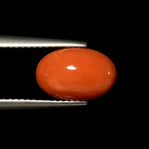 2,96ct Atemberaubend Schöne 100% Echte Wertvolle Ultra Seltene Italienische Koralle - Bild 1 von 2