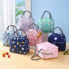 Cartoon Lunch Tote Portable Storage Bag Insulated Lunch Bag  Cooler Ice Pack