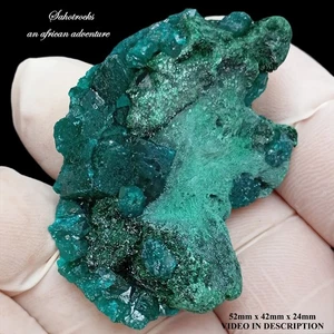 Dioptase and malachite - Kapata Kolwezi DRC Congo - Picture 1 of 12