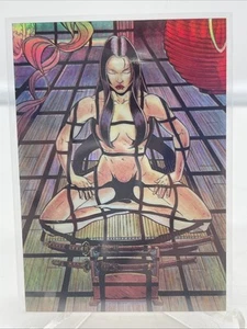 1995 Imágenes de cómic Shi Holo Cromo Meditación #01 William Tucci Holo Raro - Imagen 1 de 11