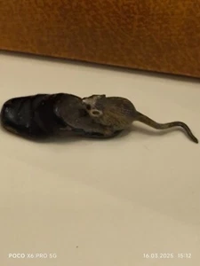 Antique Cold Painted Vienna Bronze Mouse Figurine - Picture 1 of 8