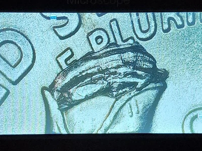 HUGE “Crown” Die Chip Error Washington Crossing The Delaware 2021 (P) RARE - Image 1 of 4